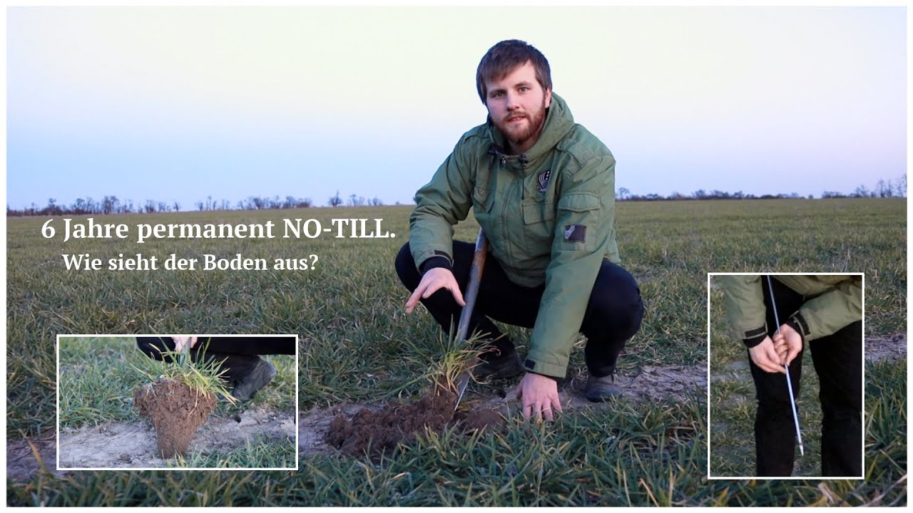 6 Jahren permanent NO TILL. Wie sieht der Boden aus?