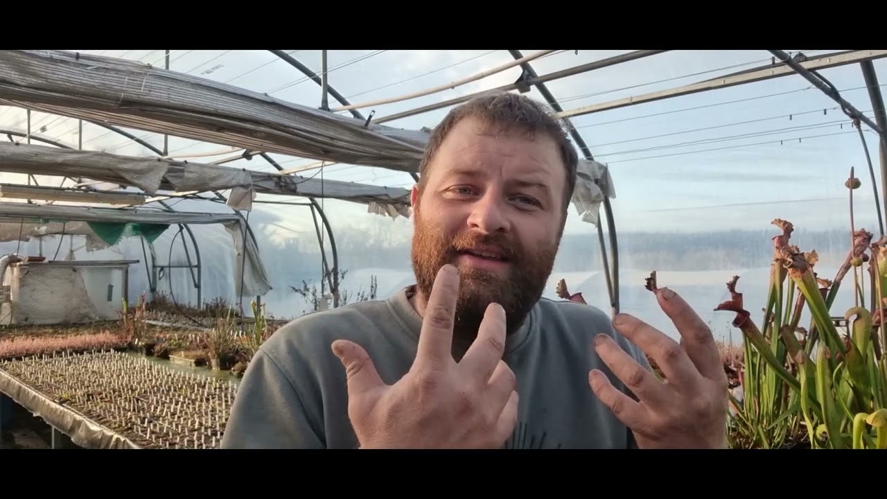Comment traiter vos plantes correctement