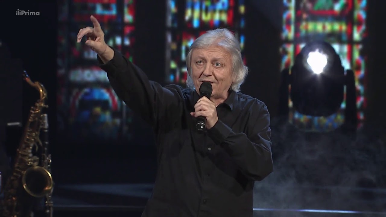 Václav Neckář - Stín katedrál (2018)
