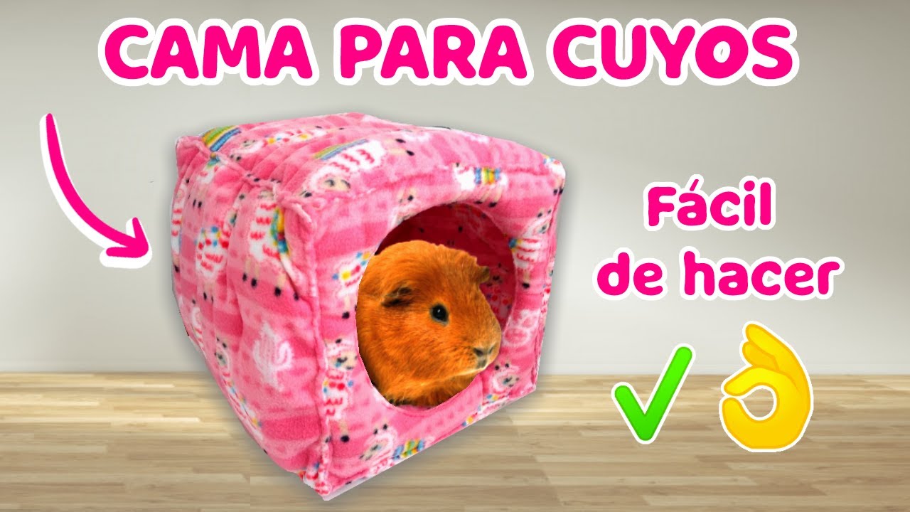 ¿Cómo hacer una camita para CUYOS y CONEJOS? 🐹 (Fácil de hacer)
