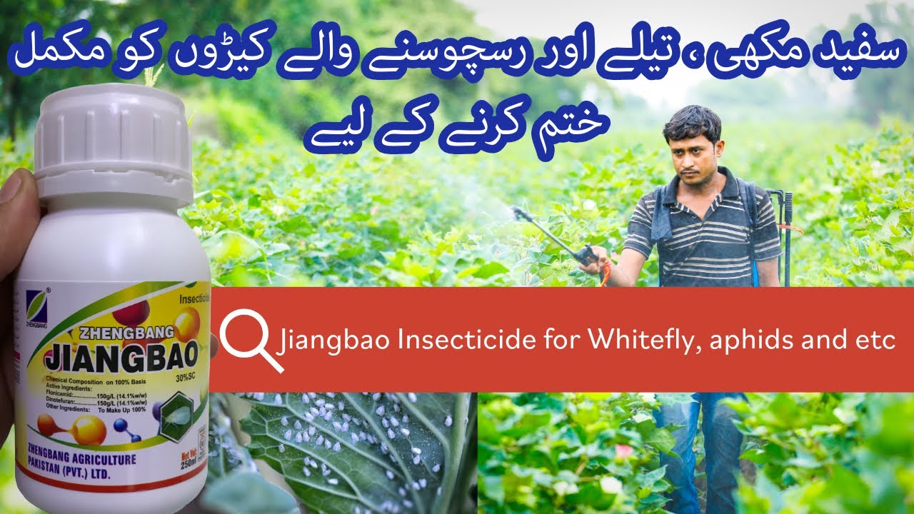 Jianbao Insecticide for whitefly, aphids, etc flonicamid + Dinotefuron Zheng bang | Kissan Ghar