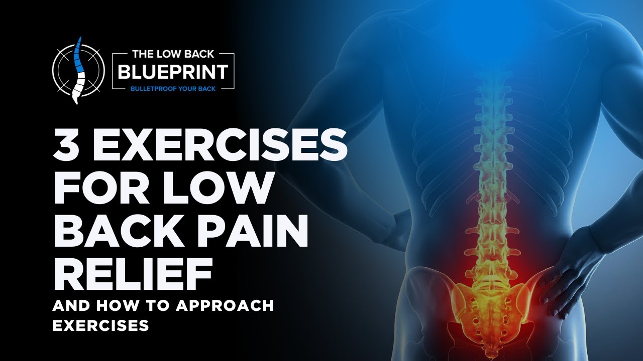 3 Exercises For Low Back Pain Relief