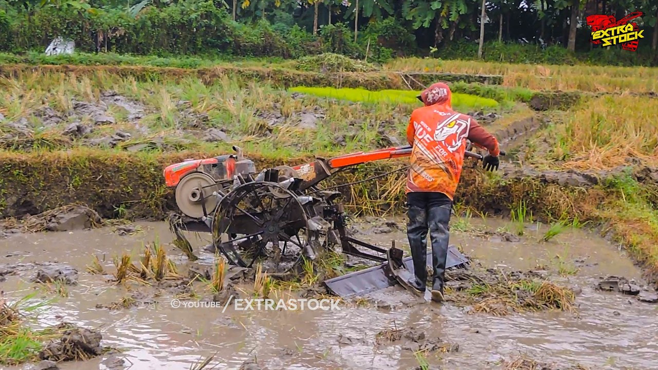 Gaya Santai Joki Muda Garu Lahan Dengan Traktor Sawah Quick G1000