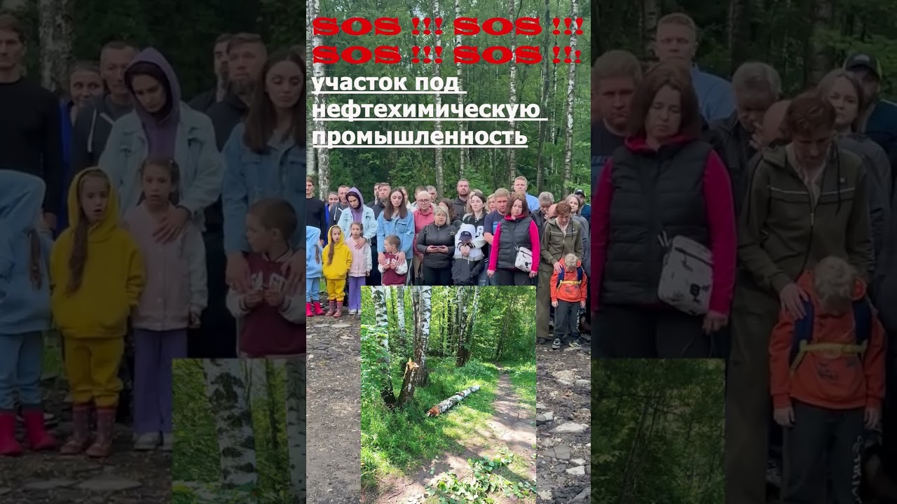 20.06.2025 :: Обращение жителей Химок и Долгопрудного из-за вырубки леса под заводы и склады