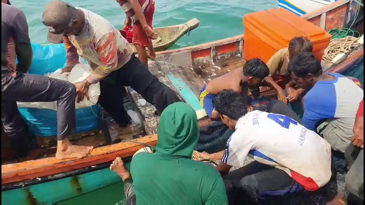 PUKAT CINCIN, Proses Penangkapan ikan  teri