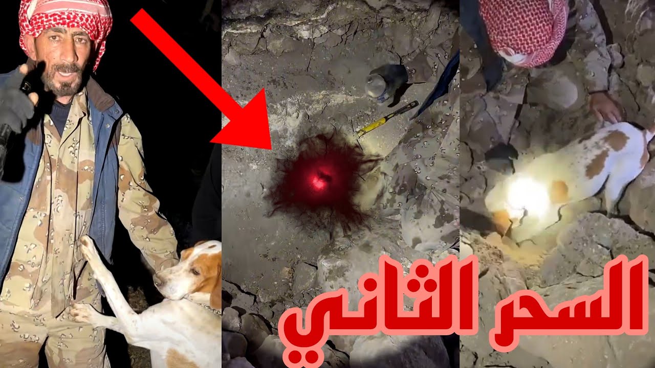 الكلب صاحب يعثر على السحر الثاني من باقي اللغز شاهد ما حدث