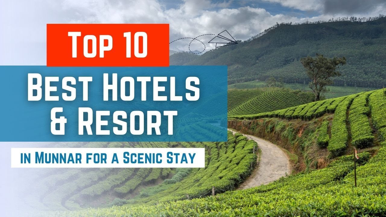 Top 10 best hotels and resorts in Munnar for a scenic stay | United Netizens