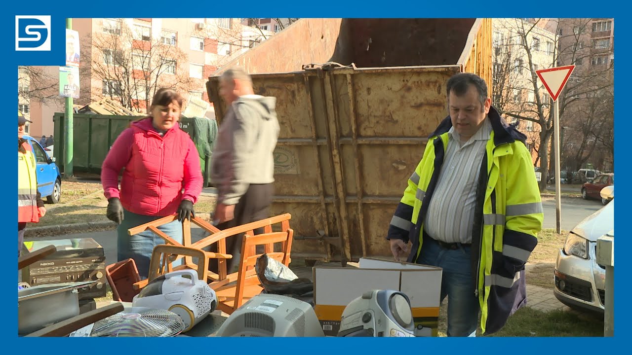 DSTV | AZ IDEI ELSŐ LOMTALANÍTÁS