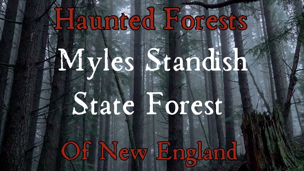 Haunted Forests of New England: Myles Standish State Forest