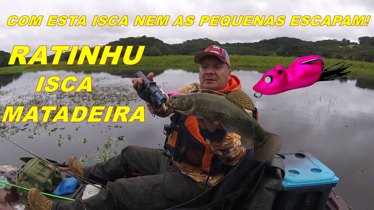 FRIO! DIA NUBLADO POREM ALGUMAS AÇÕES NA ISCA RATINHU DA MATADEIRA QUE SALVOU O DIA!