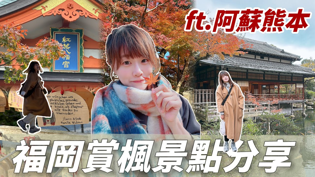 福岡紅葉季怎麼玩？不開車也能去阿蘇熊本｜九州秋日交通＋行程總整理🍁
