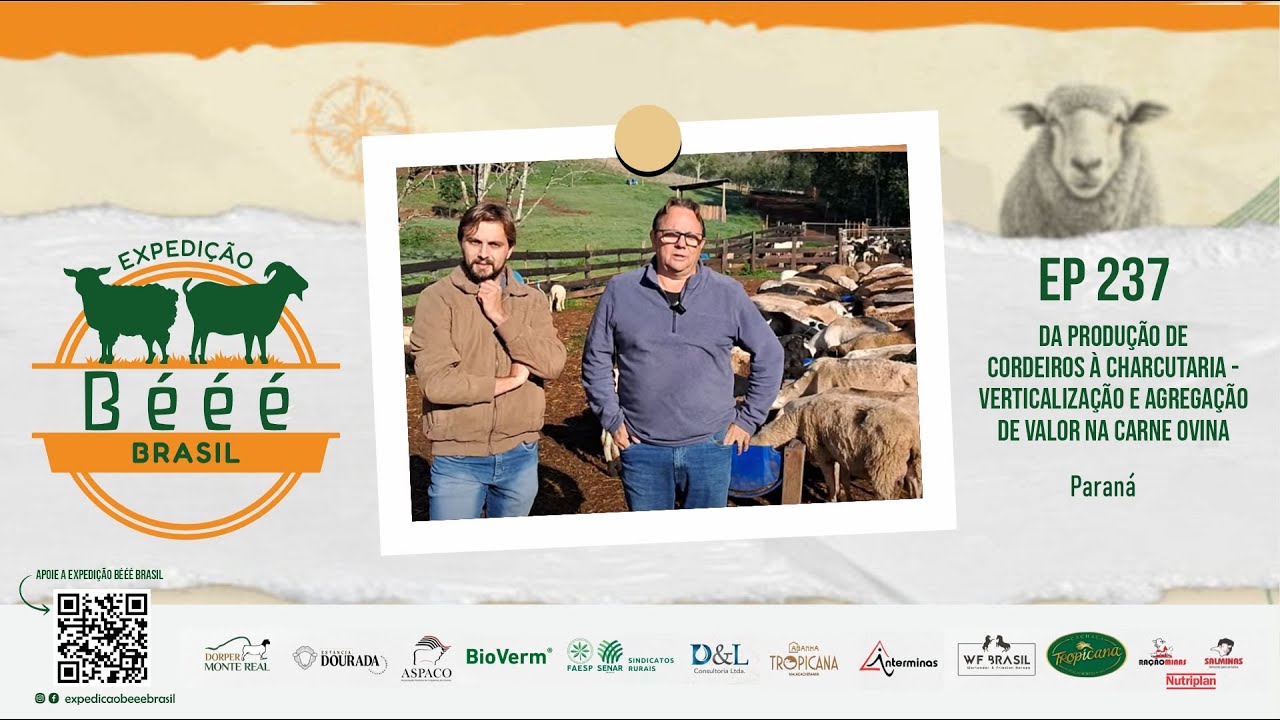 Da produção de cordeiros à charcutaria - verticalização e agregação de valor na carne ovina - EP 237