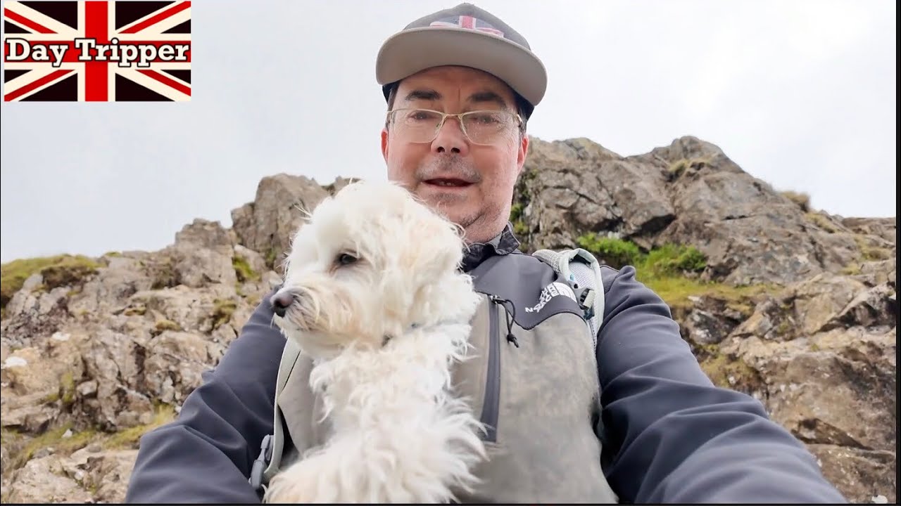 Hiking to The Summit of Pike of Sickle with My Maltese Dog and Sid, Langdale Pikes, Lake District