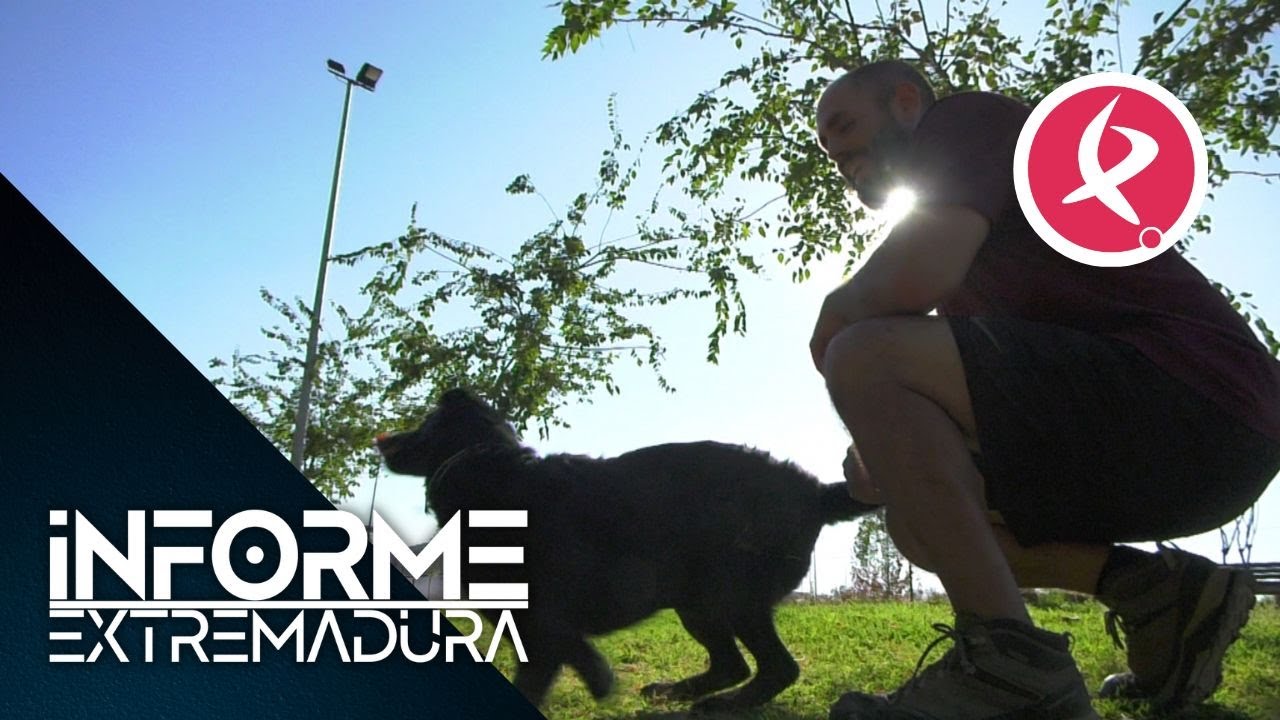 El hogar de los perros sin hogar | Informe Extremadura