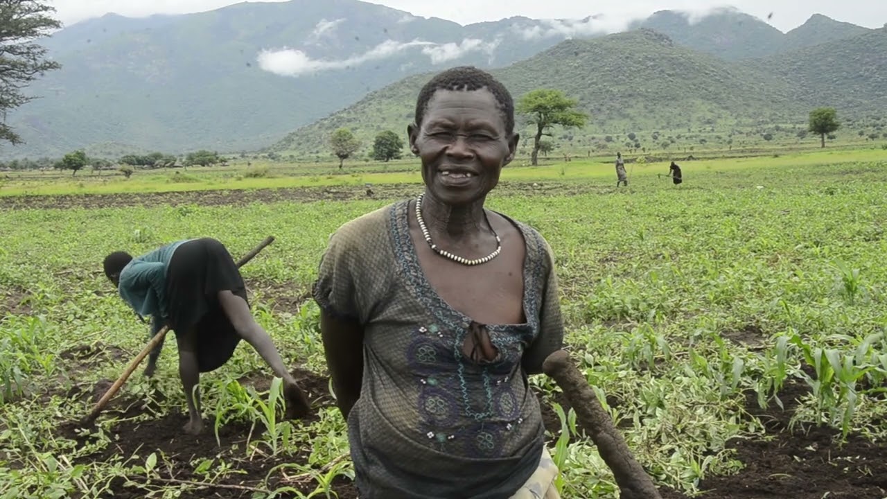 Water shortage in Agoro pushes farmers to fast-maturing crops