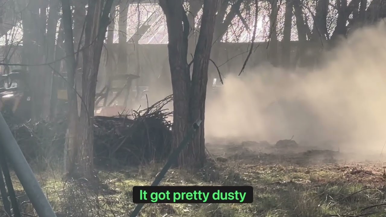 Part 2 Brush Pile
