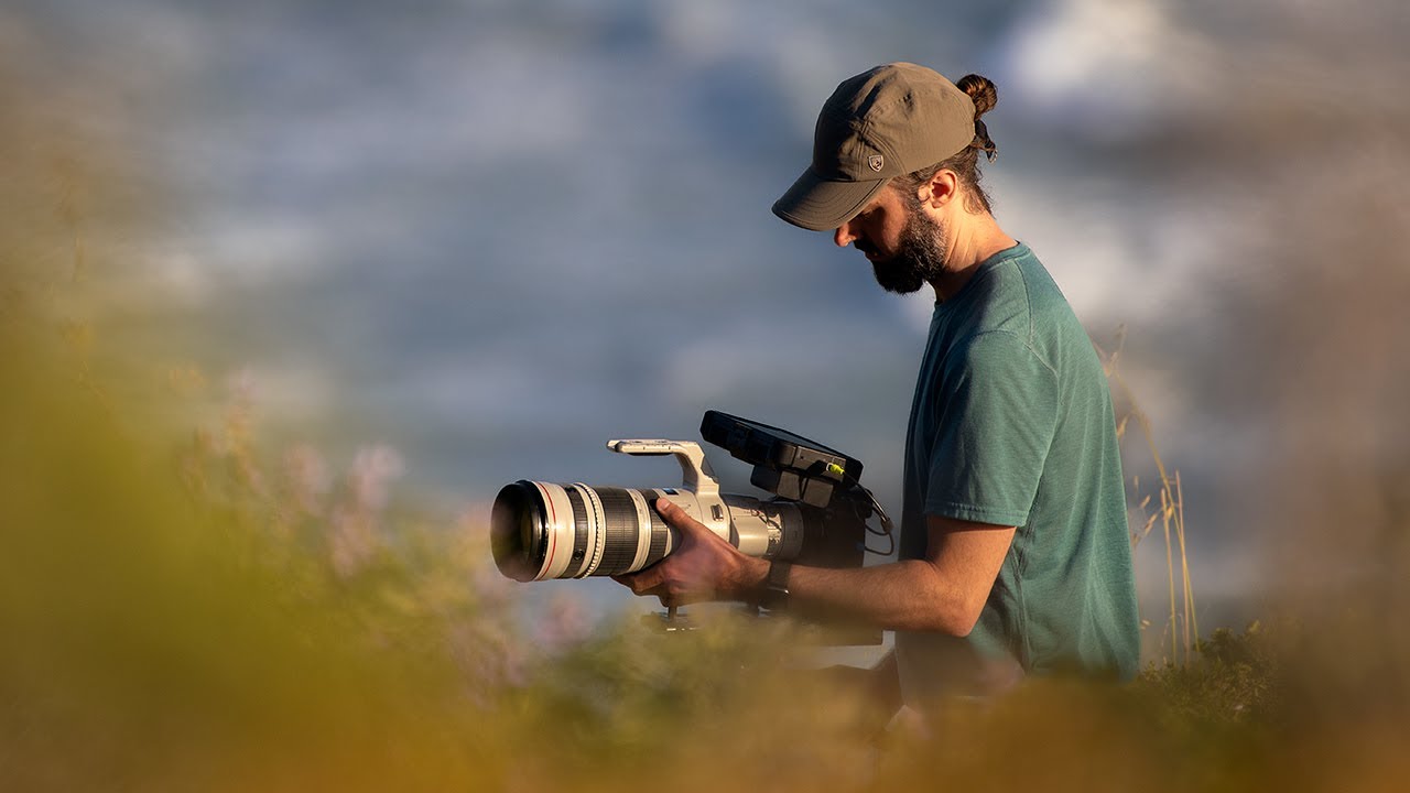 Canon R3 Long-term Review for Filming Wildlife