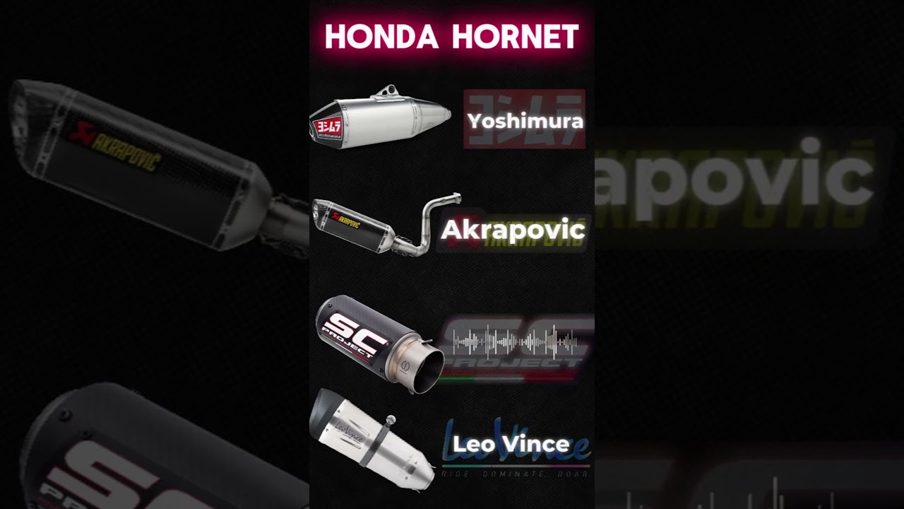 Honda Hornet Best Exhaust Sounds! #dyno #exhaust #hondahornet