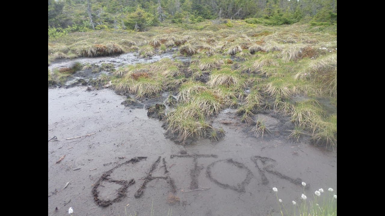 Gator Tackles the Toughest Mile - Maine- Appalachian Trail Thru Hike 2015