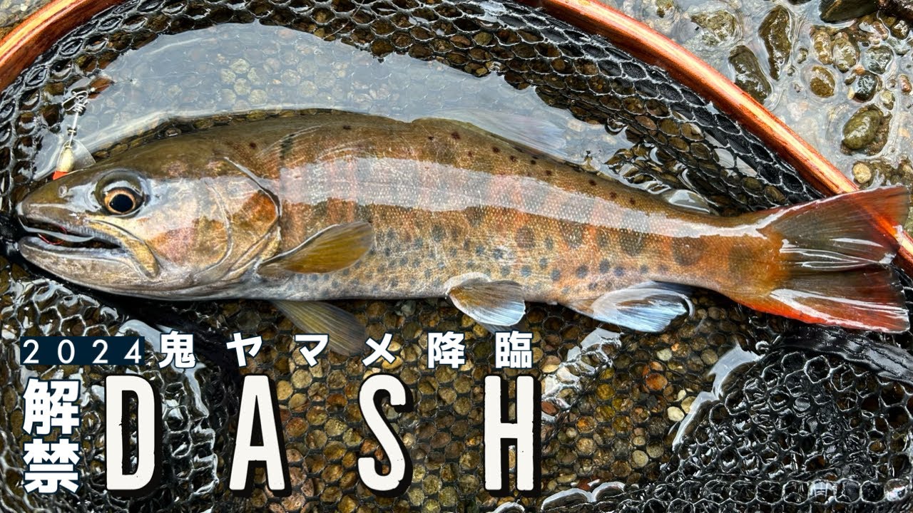 【釣り】解禁ダッシュ💪 雪降る源流の 鬼ヤマメ✌️ 大分県2024#02
