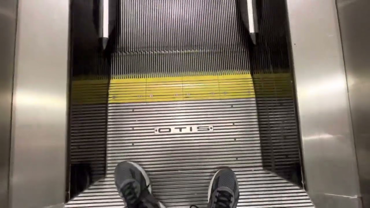 A Checkup On The Official Escalators Of escandelev