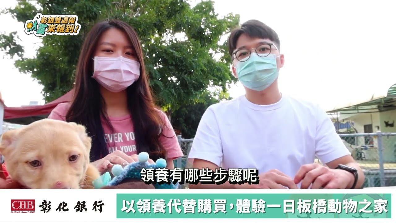 ｜彰銀雙週報第十集｜前進板橋動物之家，領養步驟報你知！