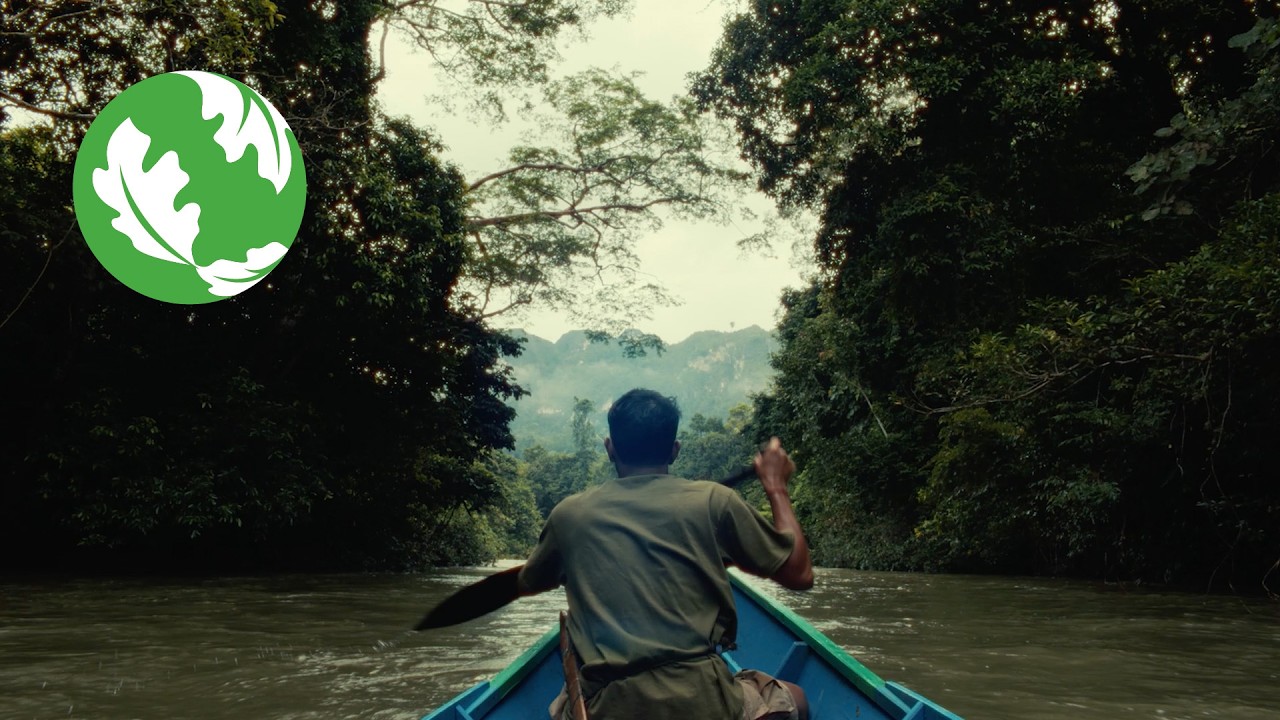 Borneo: The Lungs of the World