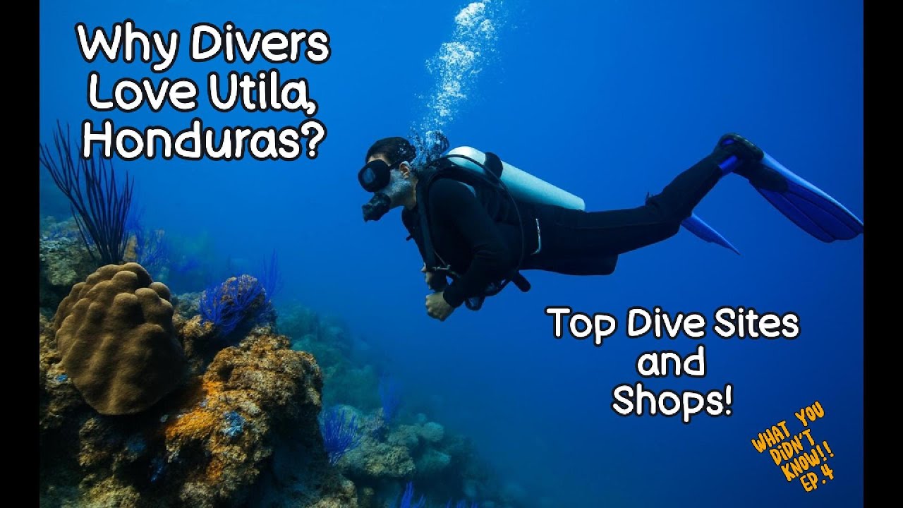 Why Divers Love Utila, Honduras? Top Dive Sites and Shops! Ep. 4