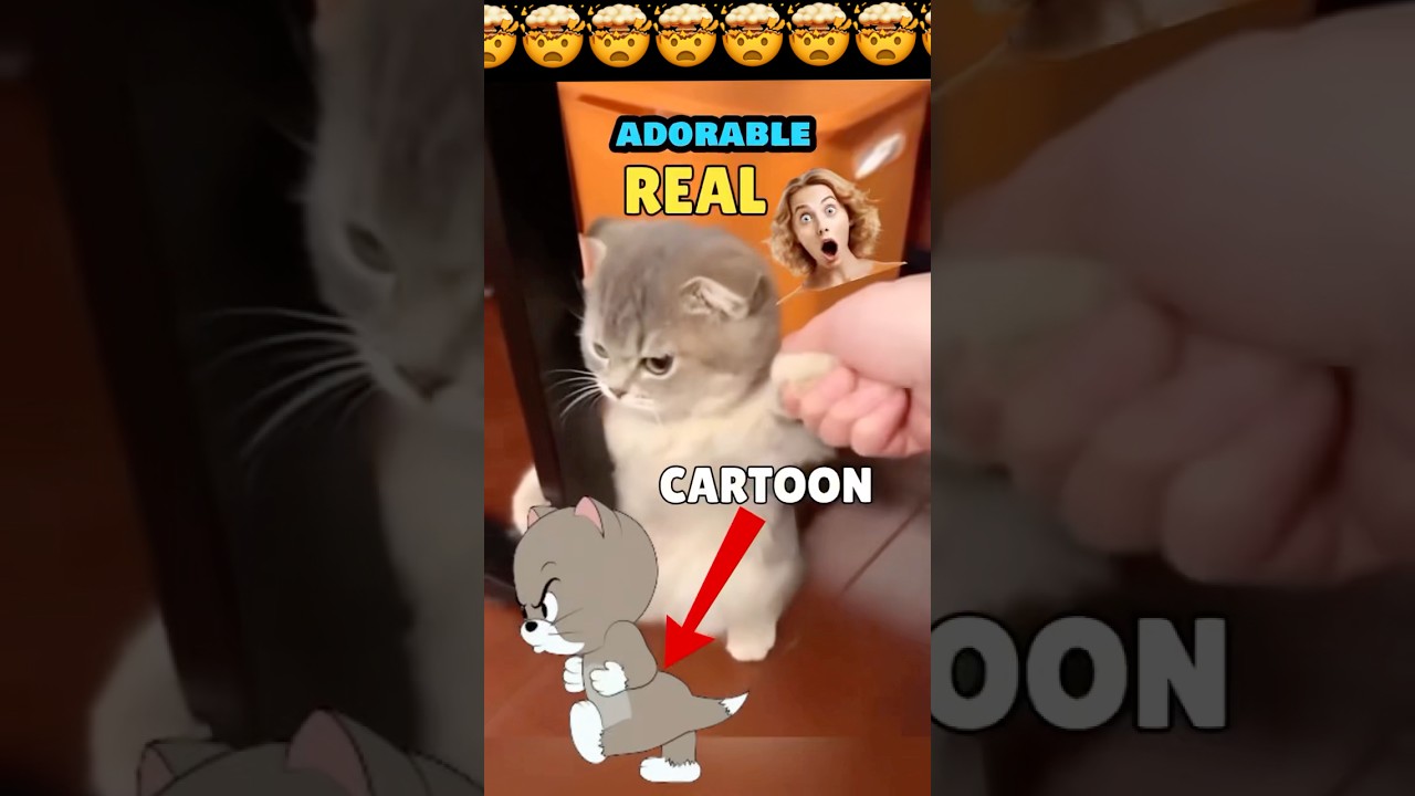 Topsy from Tom And Jerry in real life 😱🙀#shorts #kids #tomandjerry