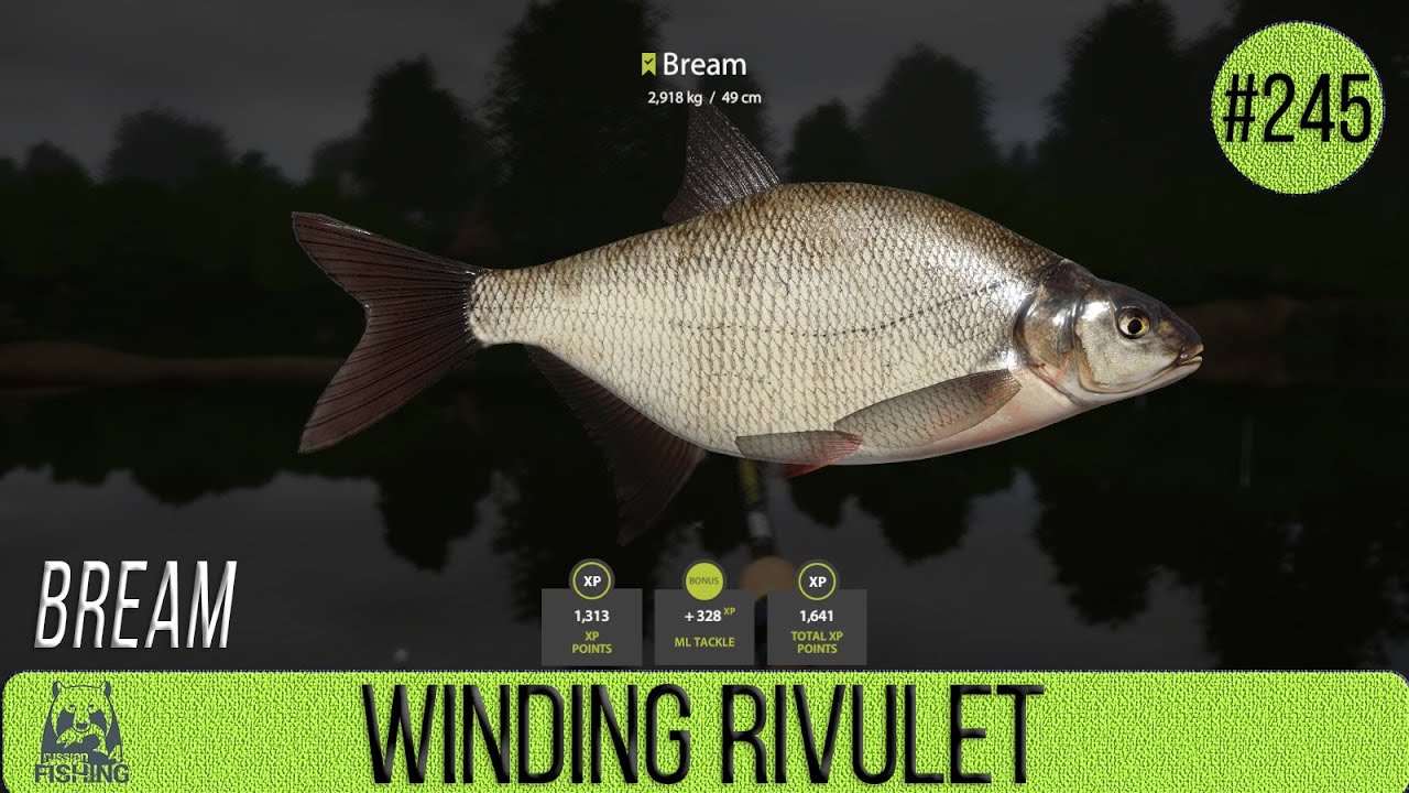 Russian Fishing 4 - Winding Rivulet - Bream - #245
