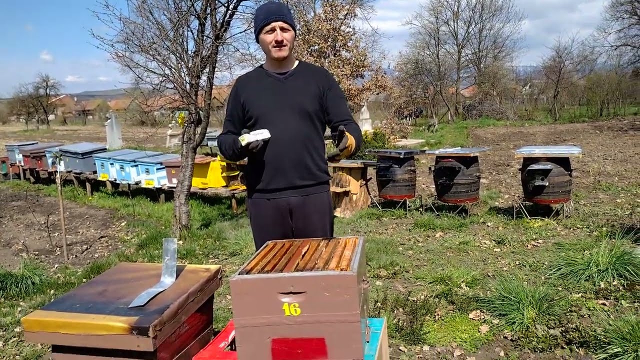 Dezinfectarea de paraziți a lăzilor de albine și a ramelor 🐝‼️