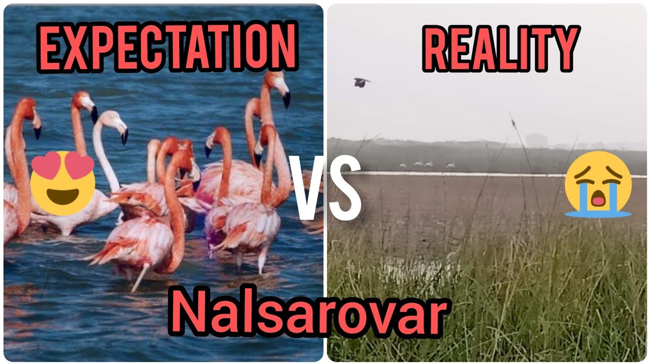 Nalsarovar Full Detailed Video/नालसरोवर जाने से पहले ये वीडियो ज़रूर देखें|नालसारोवर की पुरी सच्चाई