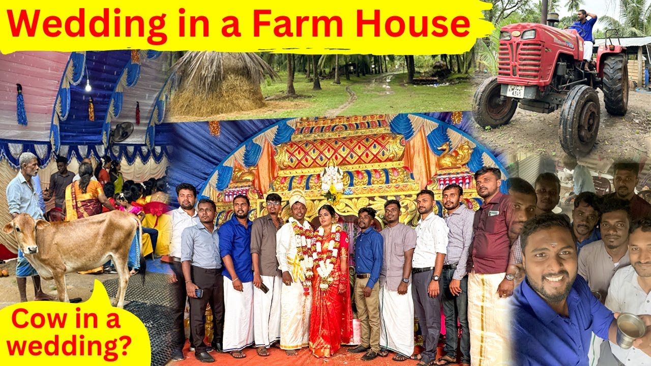 Tamil wedding in Sri Lanka | The MAGnificent Show