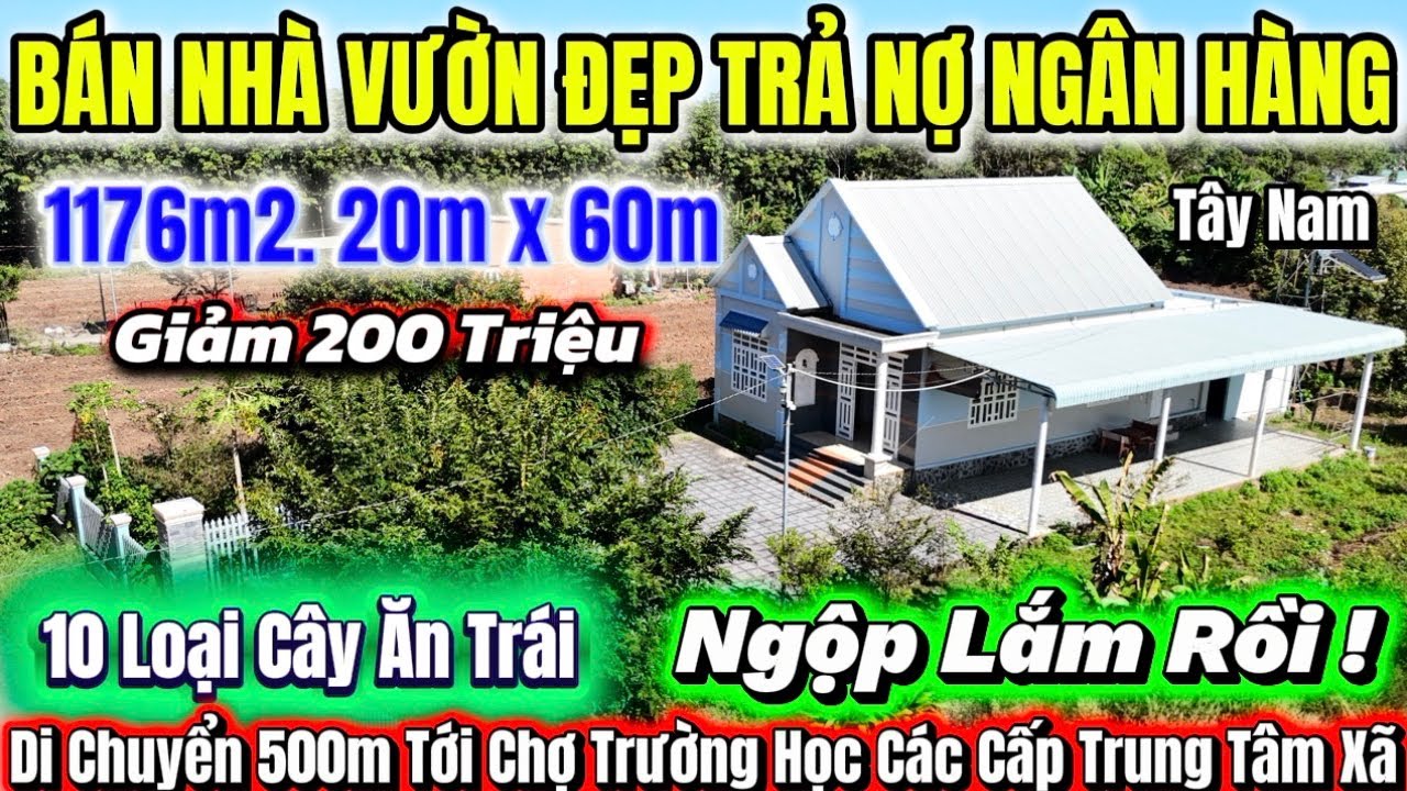 [Đã bán] Nhà Vườn Phong Cách Thái Hơn 10 Loại Trái Cây Giá Ngộp Cực Rẻ Cách Trường Học Chợ 500m