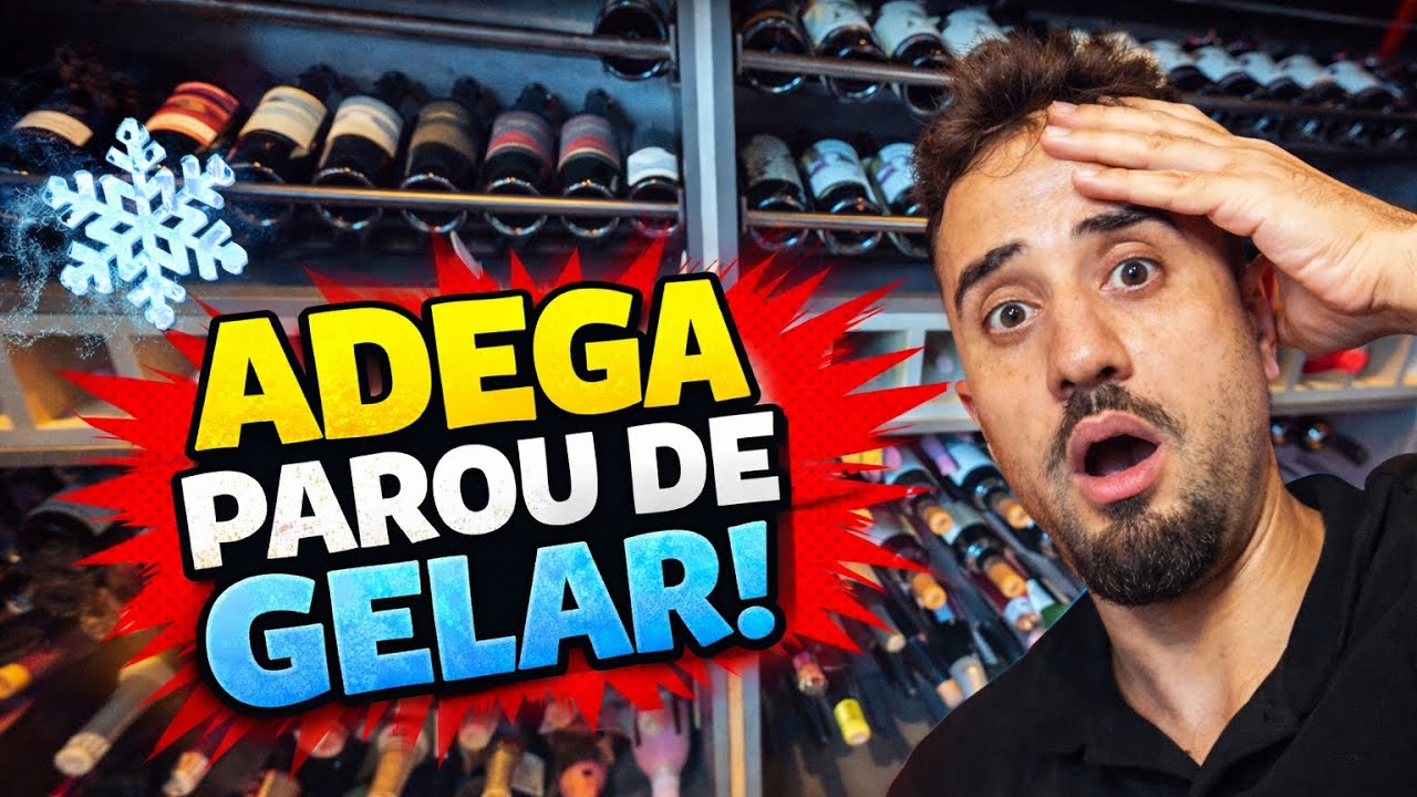 Adega de vinhos sob medida / nunca vazamento assim 