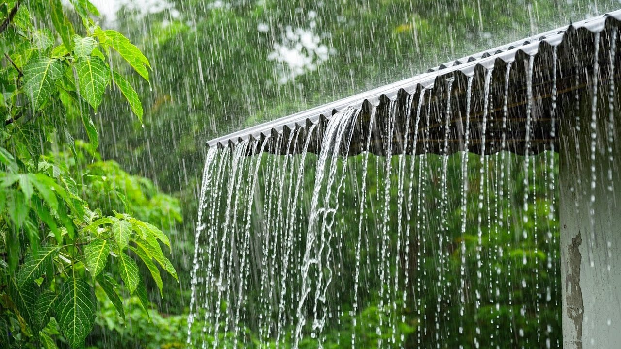 Heavy Rain & Thunder on Roof All Night – Deep Sleep, Relaxing ASMR Storm Sounds