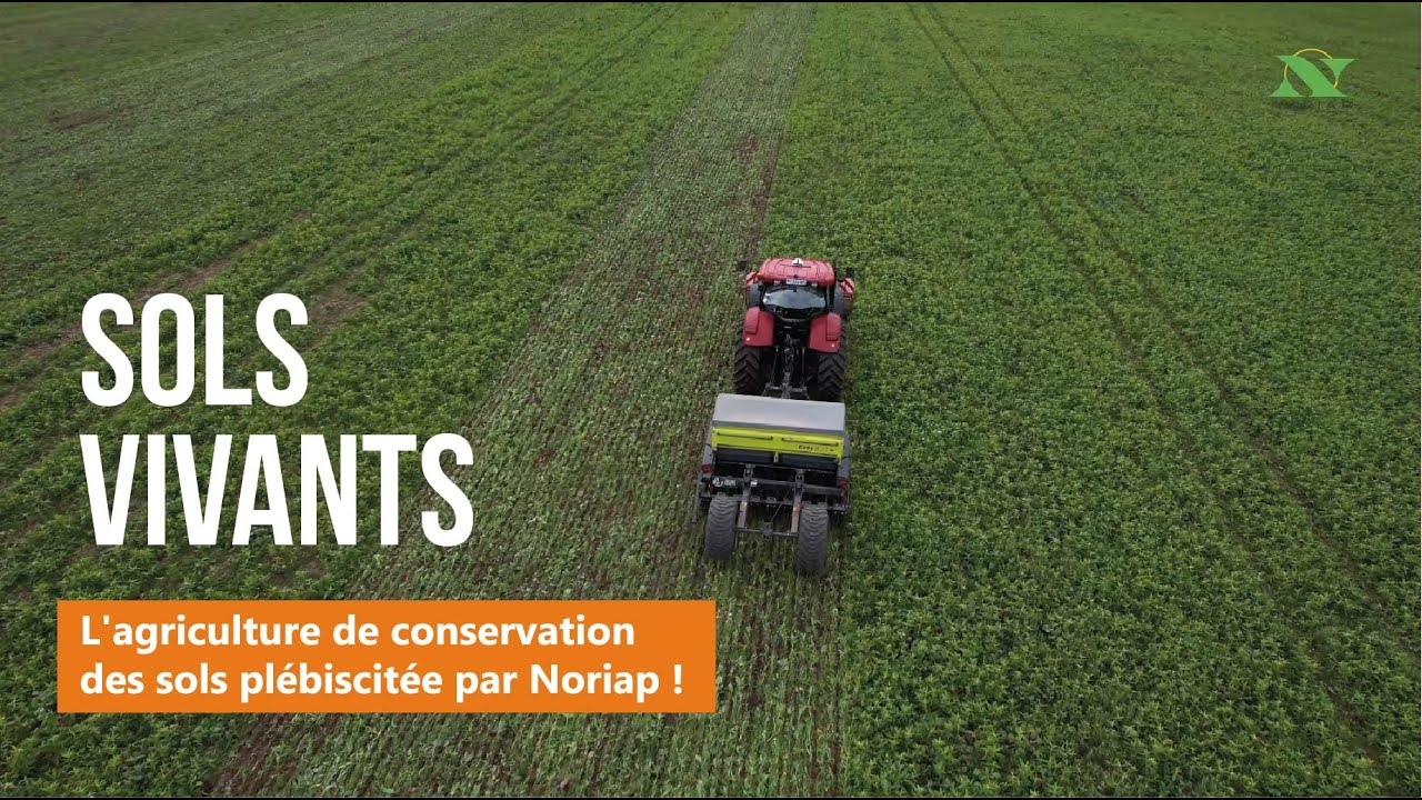 NORIAP - Sols Vivants : L'agriculture de conservation des sols plébiscitée par Noriap !
