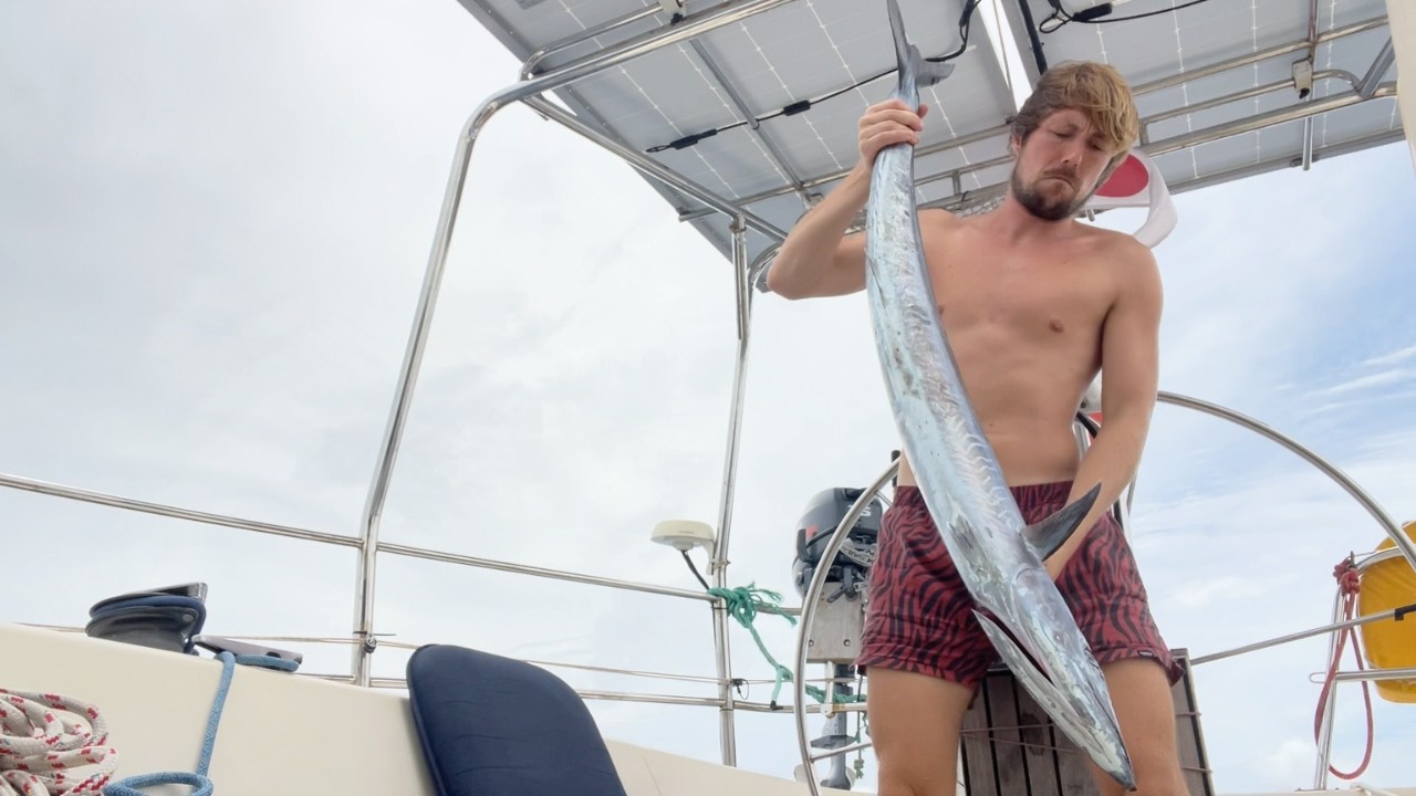 Big wahoo while the wind returns with force | Solo Atlantic crossing | Daily vlog #26