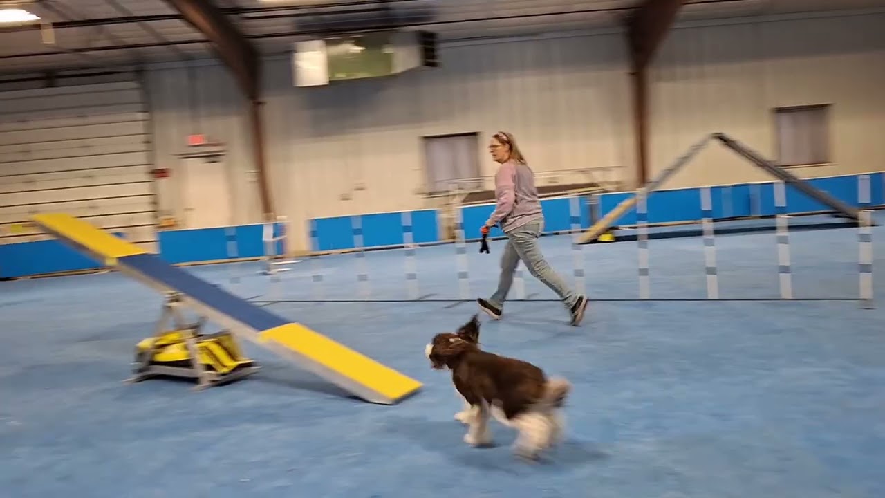 Sport, A-frame,  weaves,  teeter