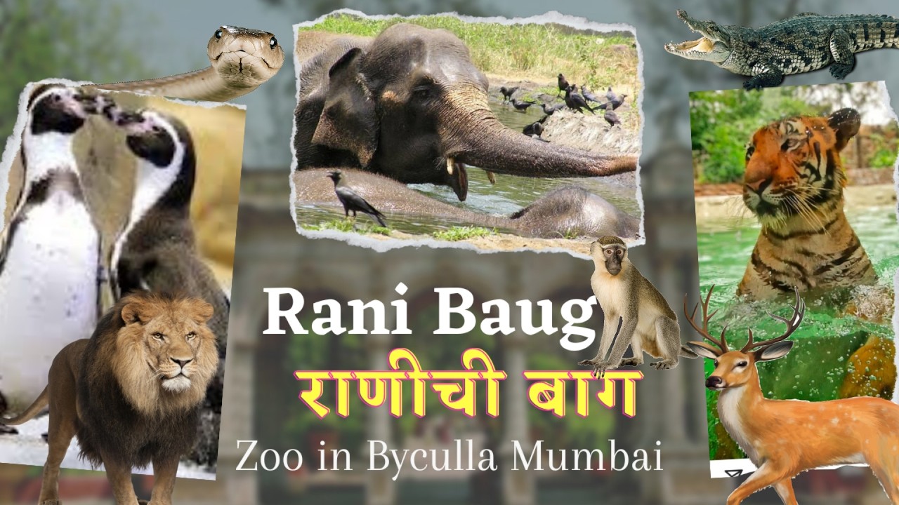Mumbai's Only Zoo राणीची बाग | Visit Rani Baug in 2026 with Family #भटकंती