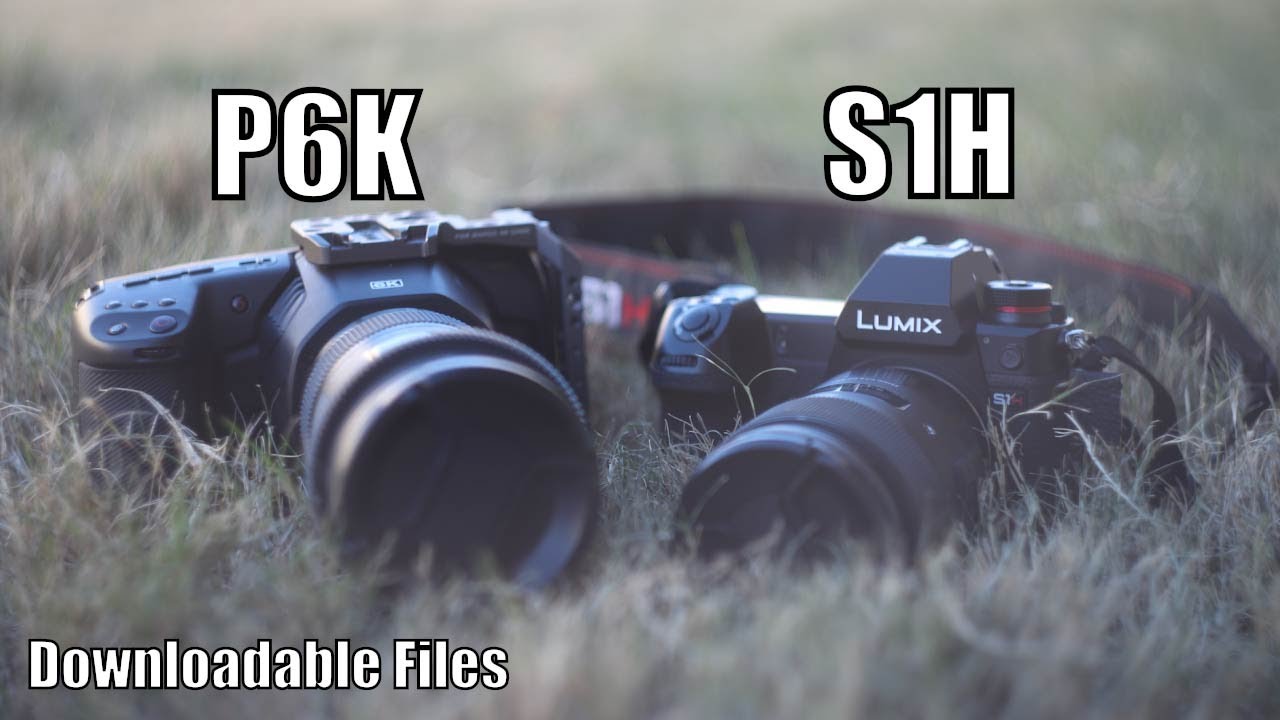 Bmpcc 6k против Panasonic S1H