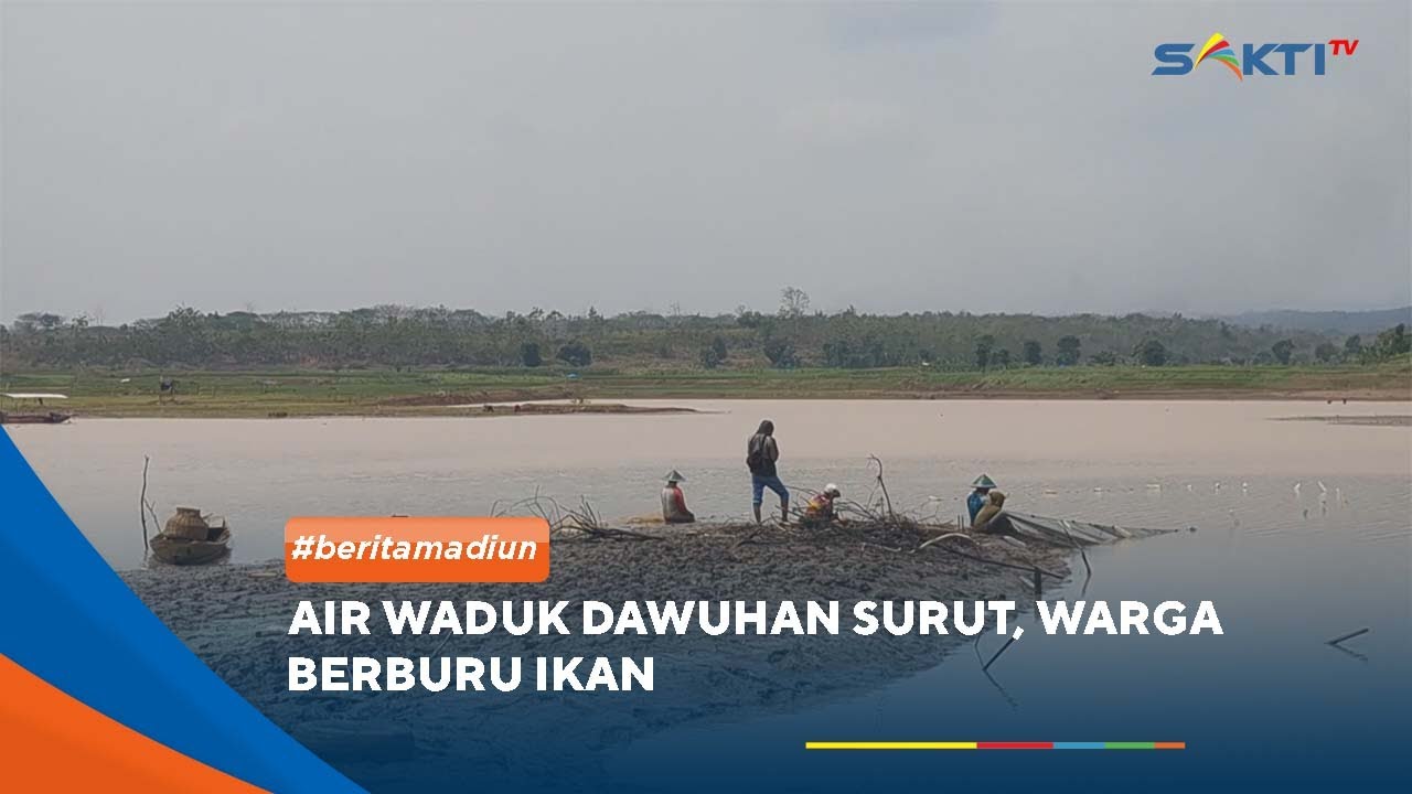 MADIUN - Air Waduk Dawuhan Surut, Warga Berburu Ikan