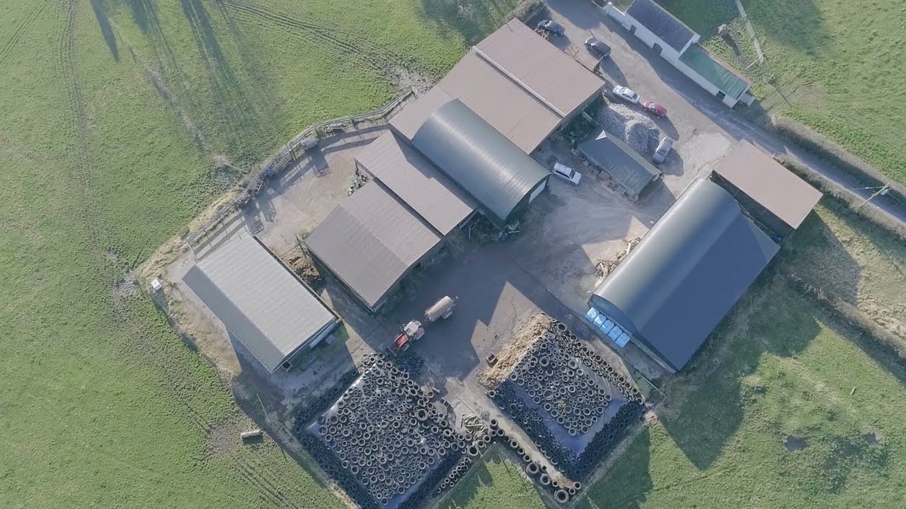 Beef and sheep mixed grazing at Tullamore Farm Ltd
