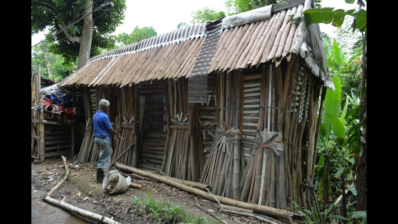 Woman puts mad faith in bamboo #JamaicaStar