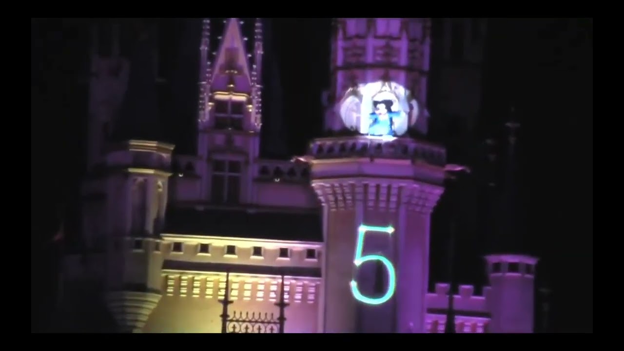[2009-2010] TDL COUNTDOWN Party 2010
