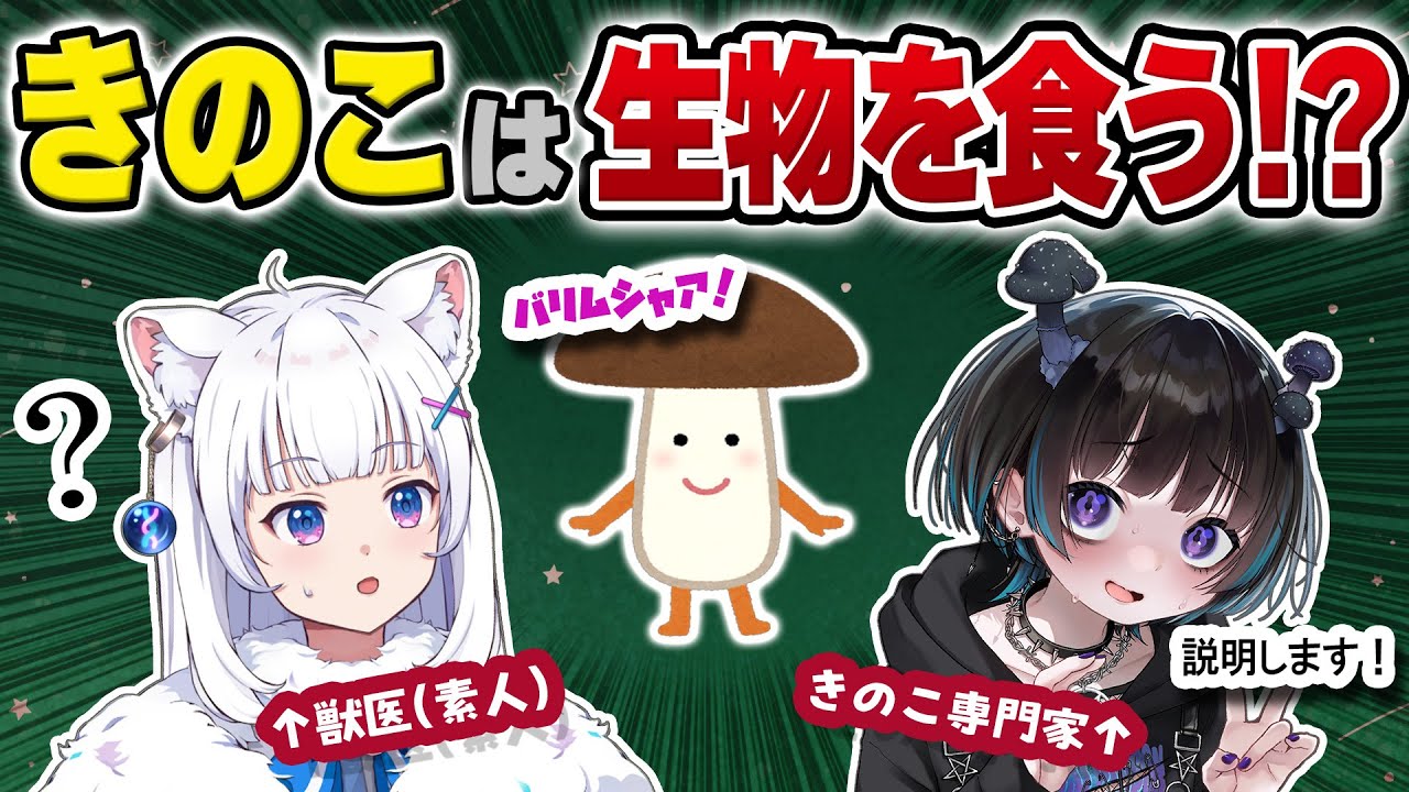 【獣医と学ぶ】キノコが動物を食う!? 不思議なキノコの話 【北国ここなの動物研究室 / スペシャルきのこマイスター・奇ノ駒たんごさんコラボ / vtuber】