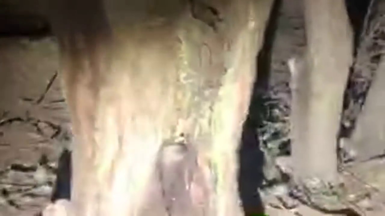 BRUJA REAL la Guajolota  las m&aacute;s peligrosa de san Antonio