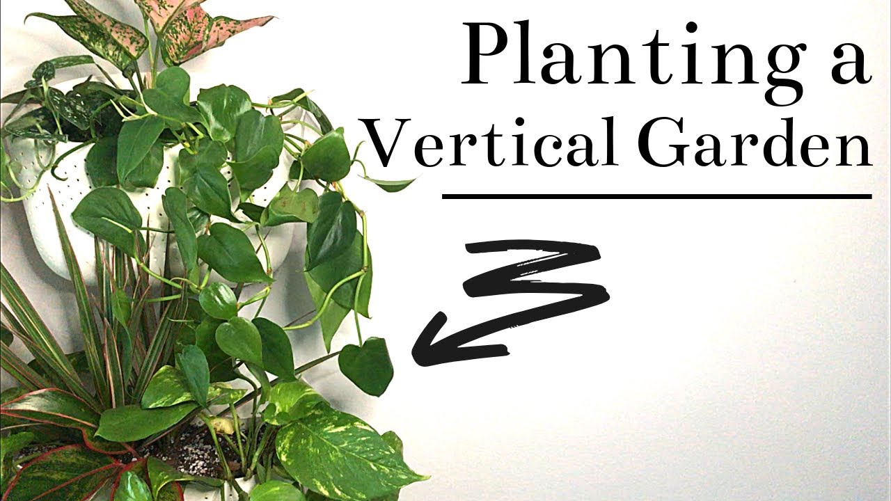 Replanting My Vertical Garden