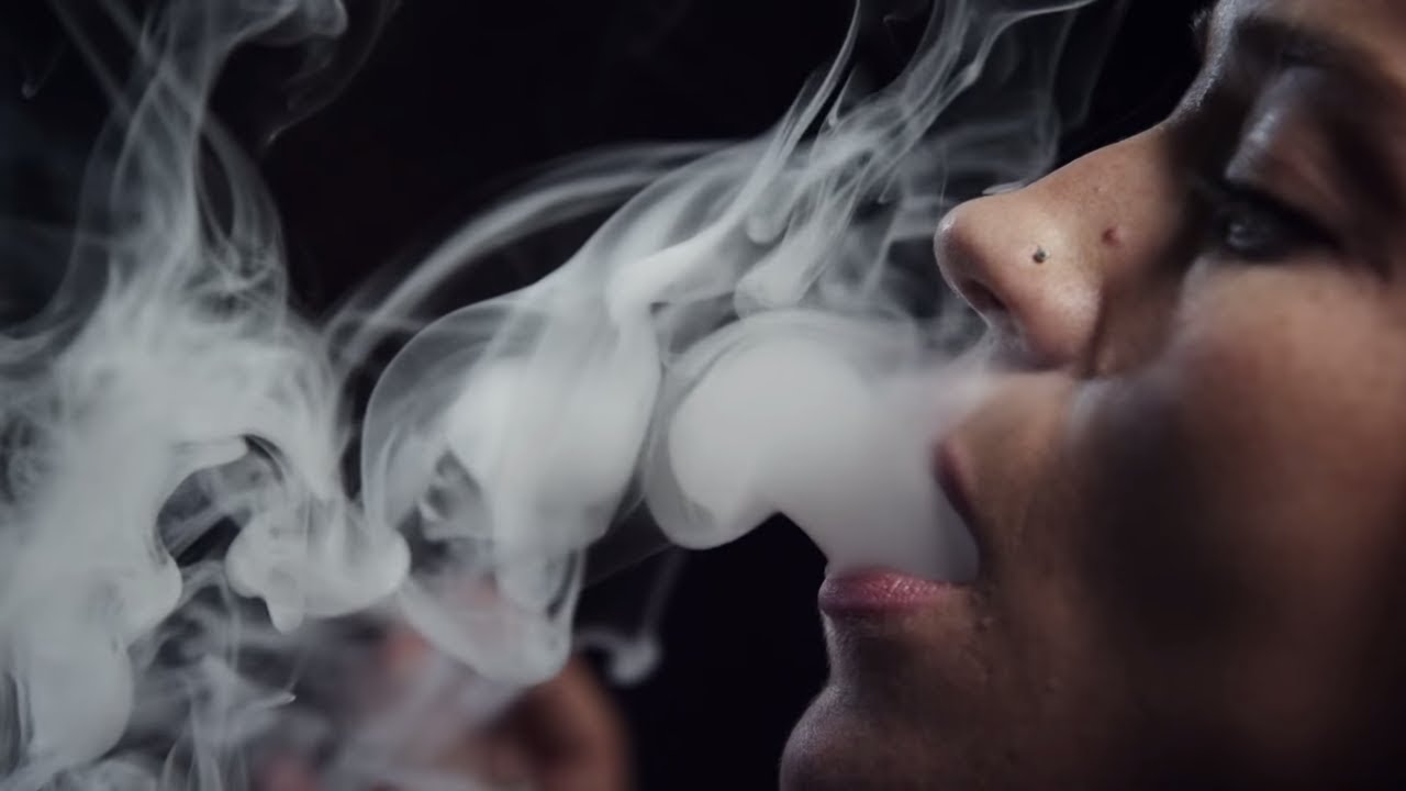 High Profits - Starting a Legal Cannabis Business | Marijuana Documentary | Reel Truth. Science