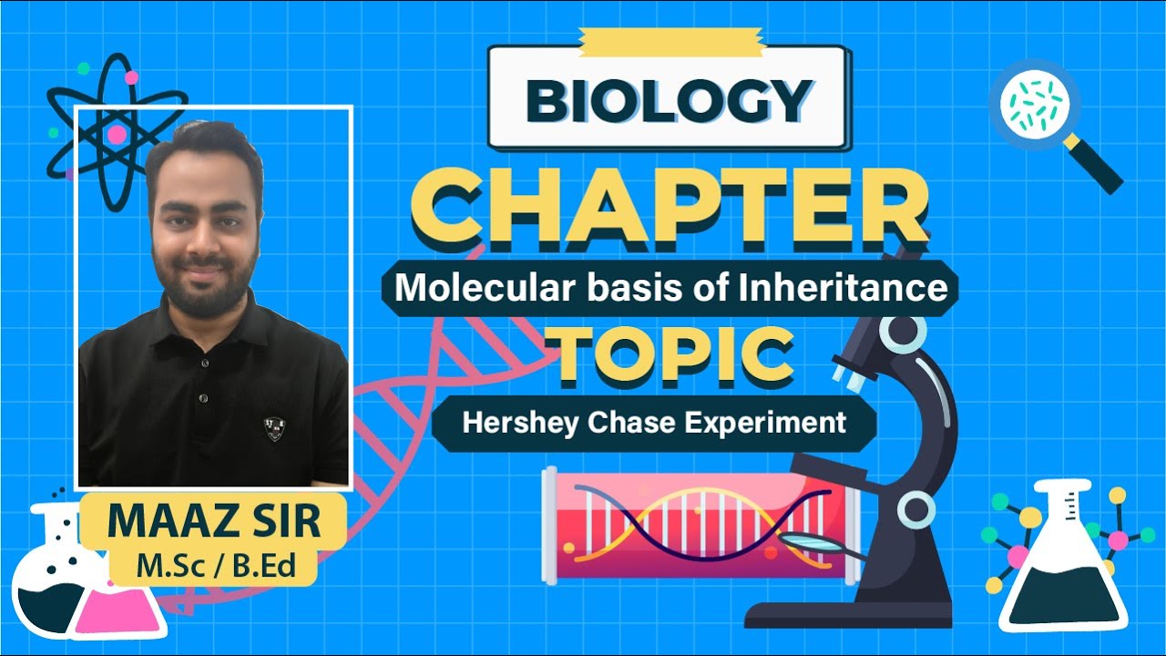 MOLECULAR BASIS OF INHERITANCE || HERSHEY CHASE EXPERIMENT || BY MAAZ SIR || M.Sc / B.Ed